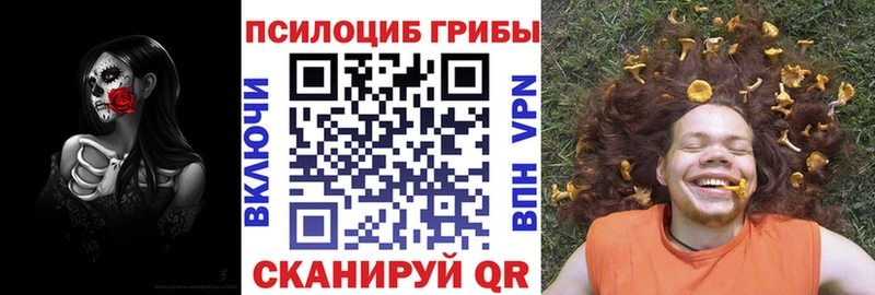 Псилоцибиновые грибы Psilocybe  Арамиль 